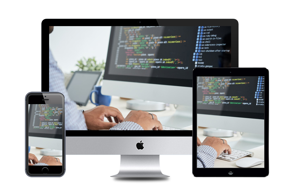 Customized Software Development – Binarysoft Technologies